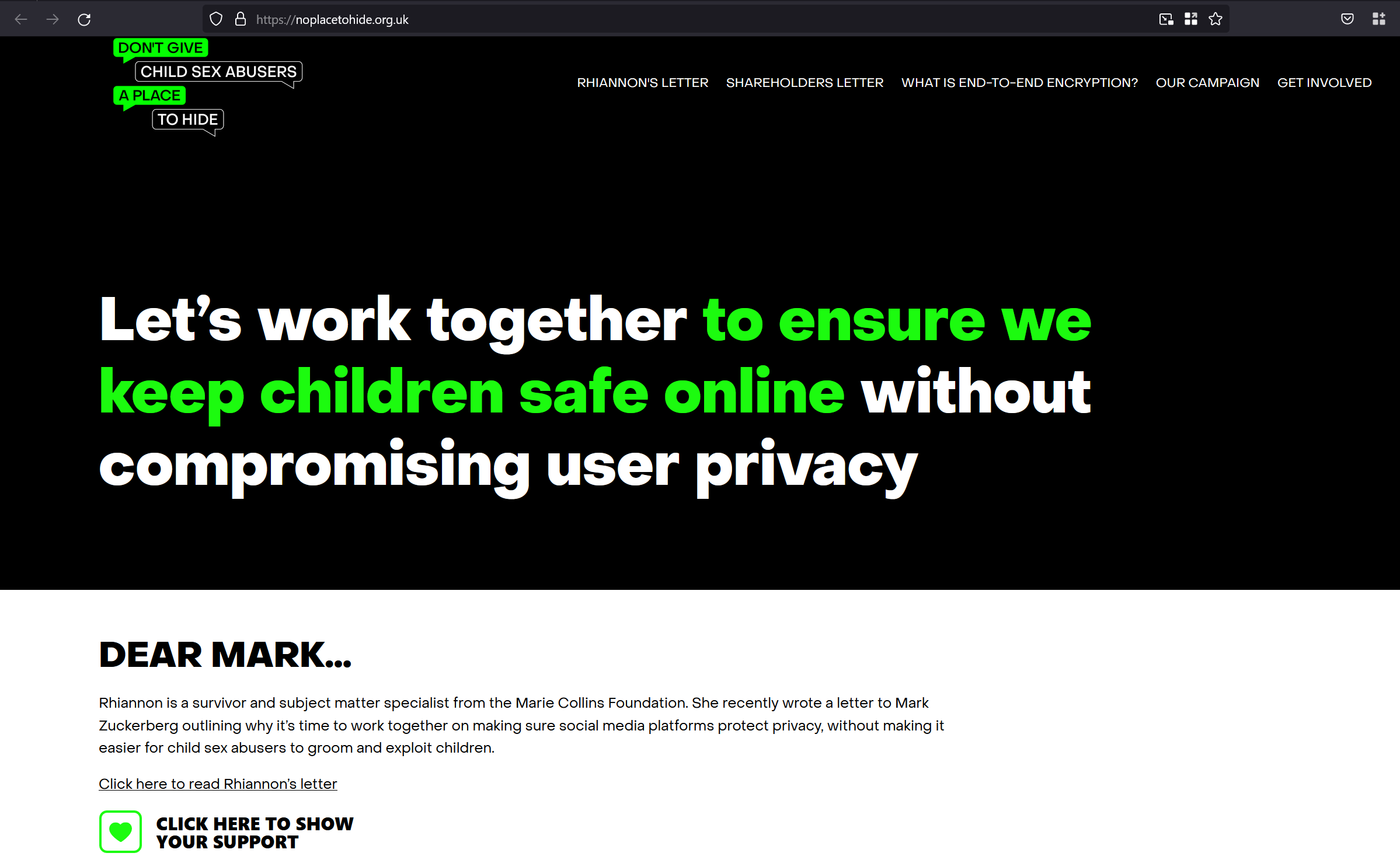 The Propaganda Campaigns For and Against Online Privacy